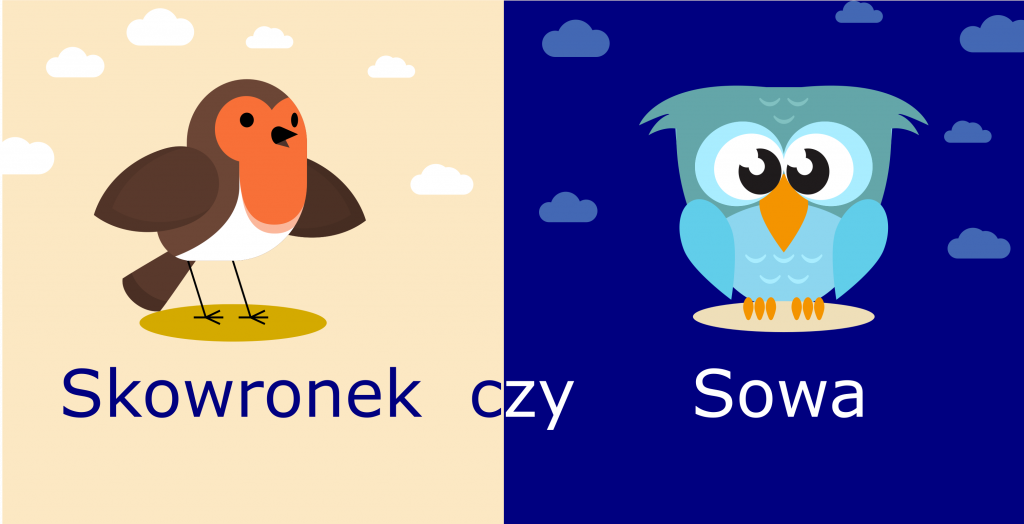 skowonek czy sowa test online test produktywności